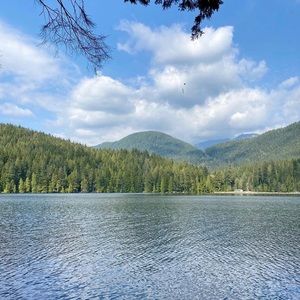 Meet your Posher, Anya